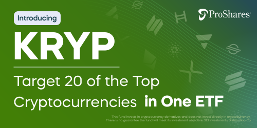 KRYP-CoinDesk-Newsletter-500x250-px-CS2